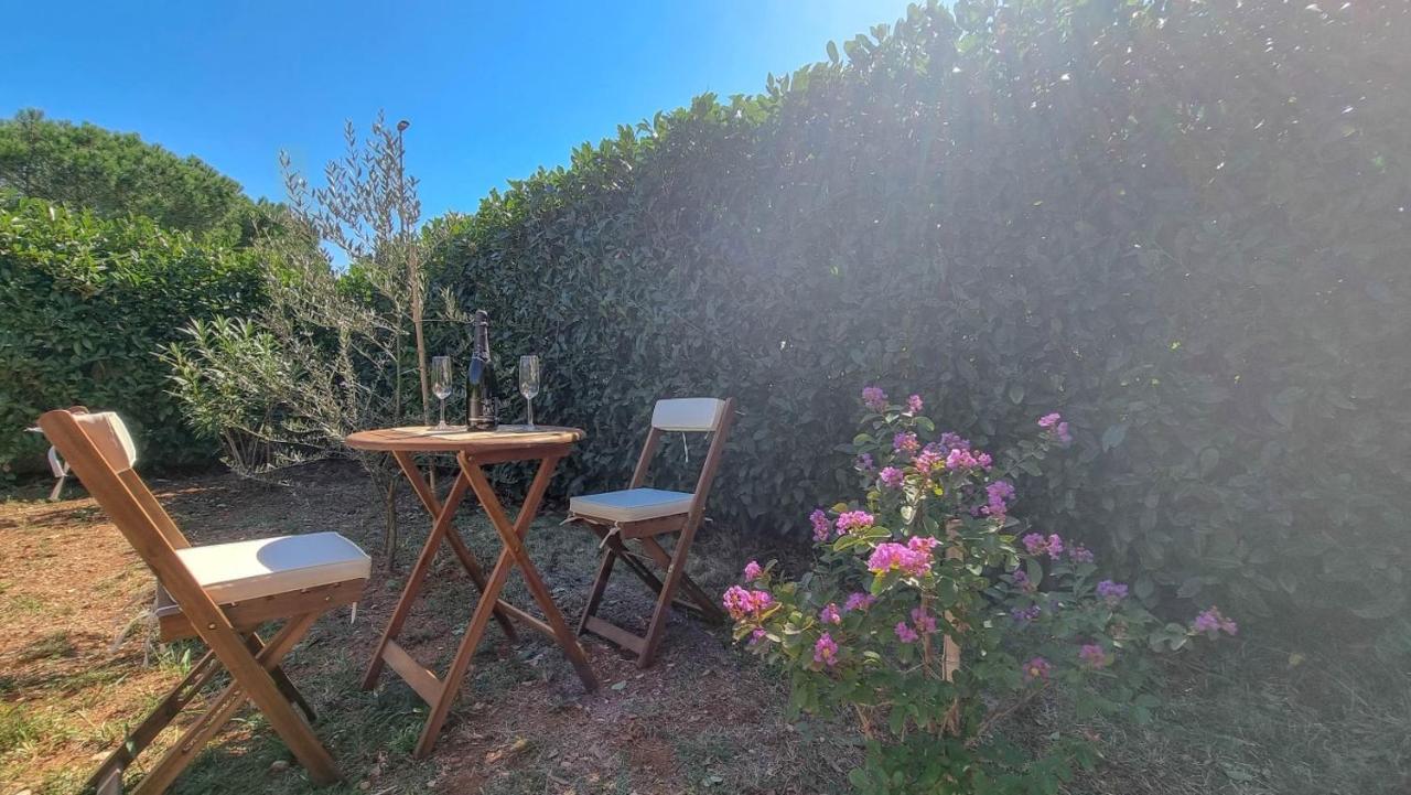شقة Lea Novigrad Istria المظهر الخارجي الصورة